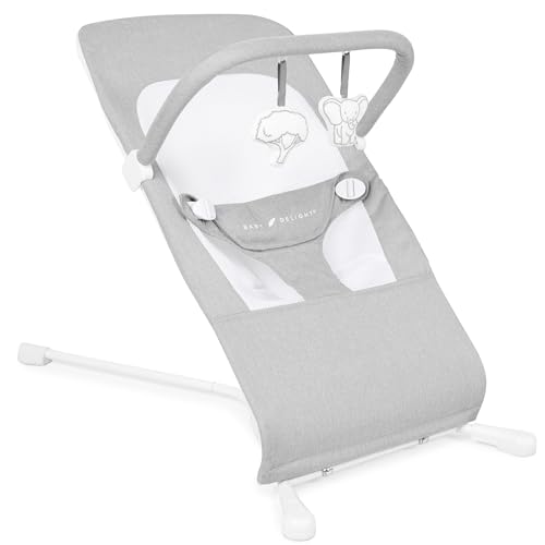 Baby Bouncer for Infants, 3-Position Recline, 0-6 Months