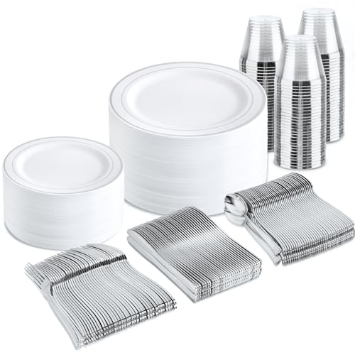 300 Piece Disposable Plastic Dinnerware Set for Parties