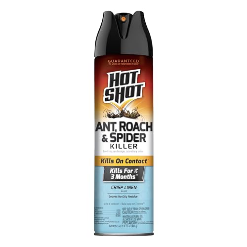 Hot Shot Ant Roach Spider Killer Insecticide Spray 17.5oz