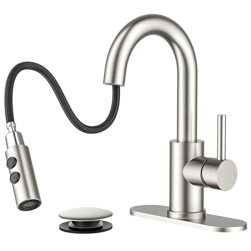 Single Handle Bathroom Faucet with Pull Down Sprayer
