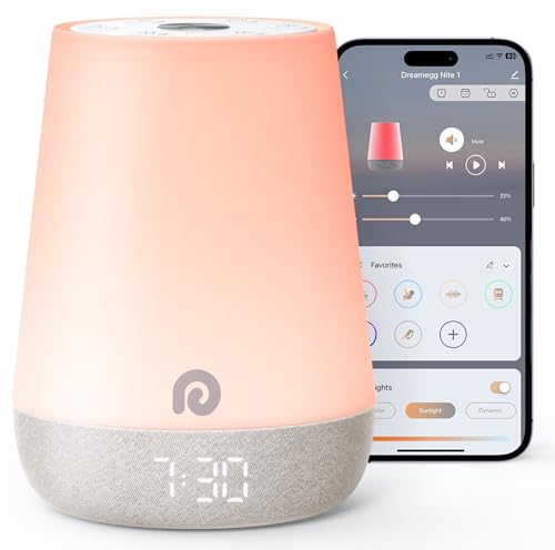 White Noise Sound Machine with Night Light Alarm