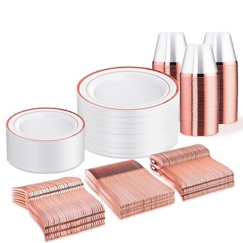 300 Piece Disposable Dinnerware Set