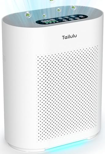 HEPA Air Purifier for Large Room with PM2.5 Sensor
