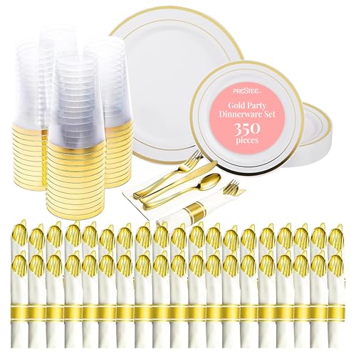 350 Piece Disposable Dinnerware Set for 50 Guests