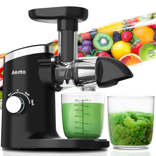 Horizontal Cold Press Juicer, Slow Masticating Juice Extractor