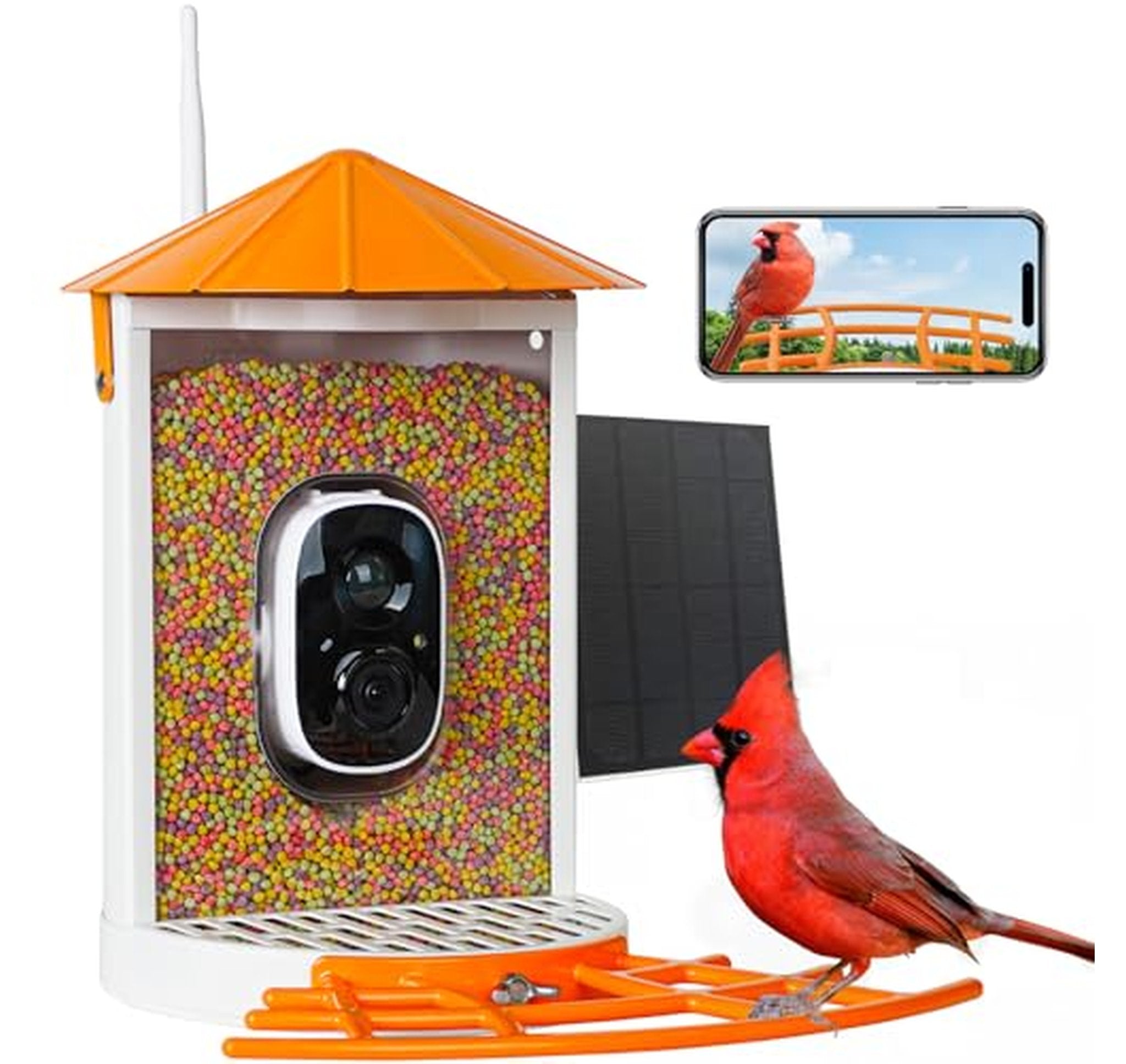 Solar Smart Bird Feeder with Camera and Motion Detection