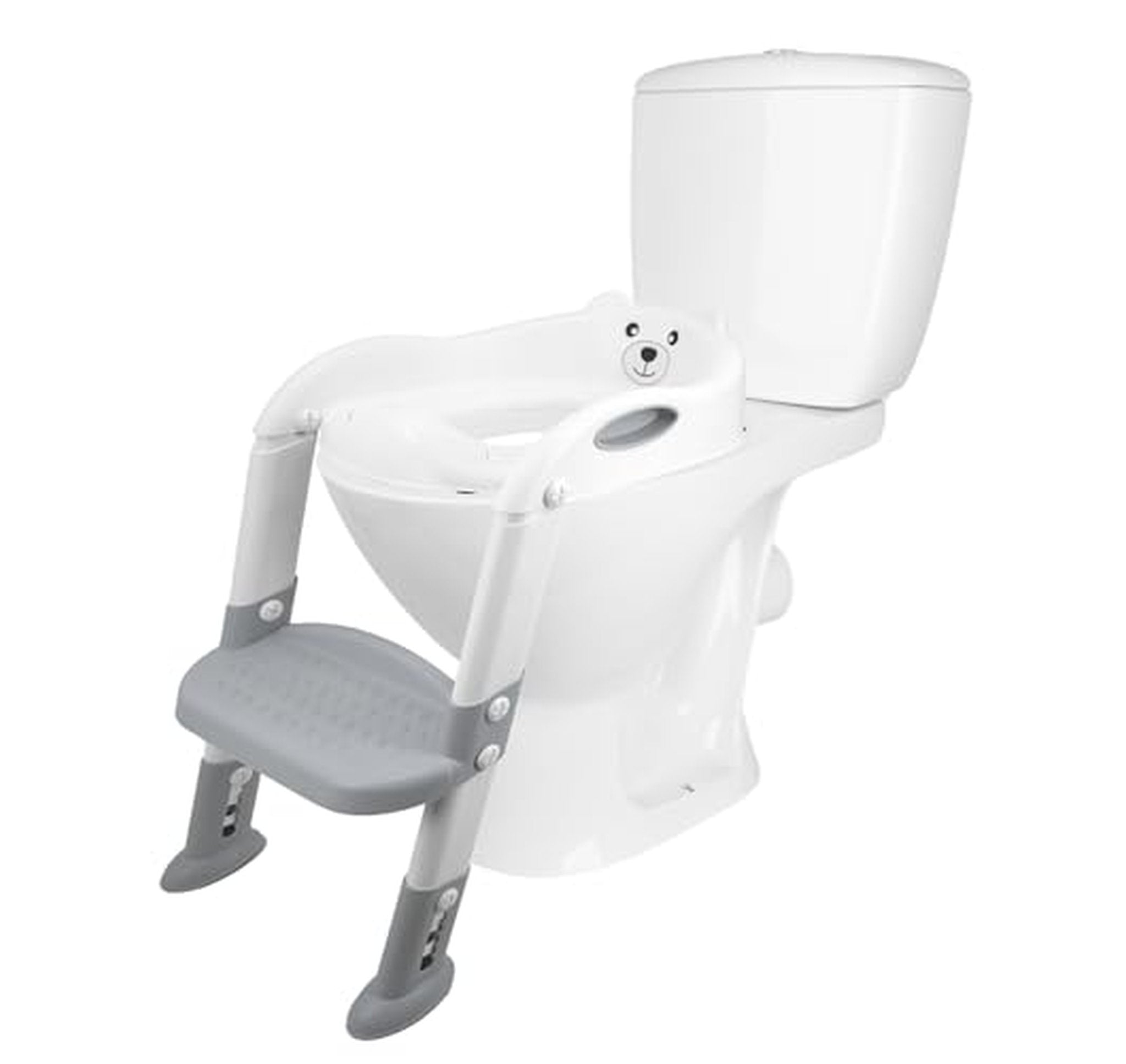 Toddler Potty Training Seat with Ladder and Step Stool
