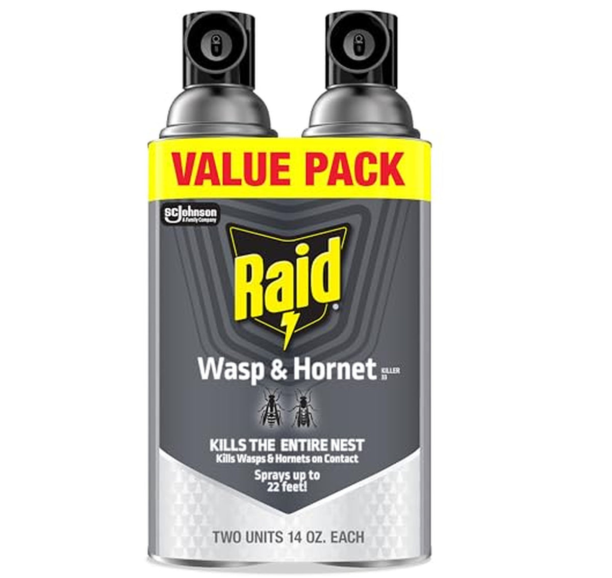 2 Pack Raid Wasp and Hornet Killer Spray