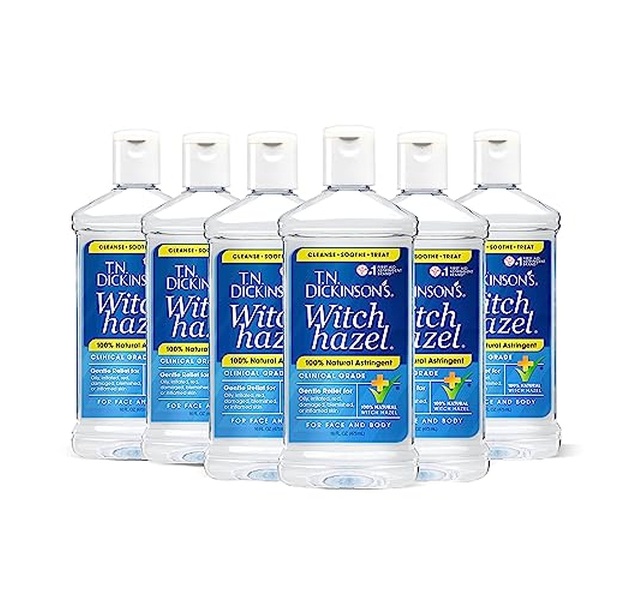 6 Pack T.N. Dickinson's Astringent for Face and Body
