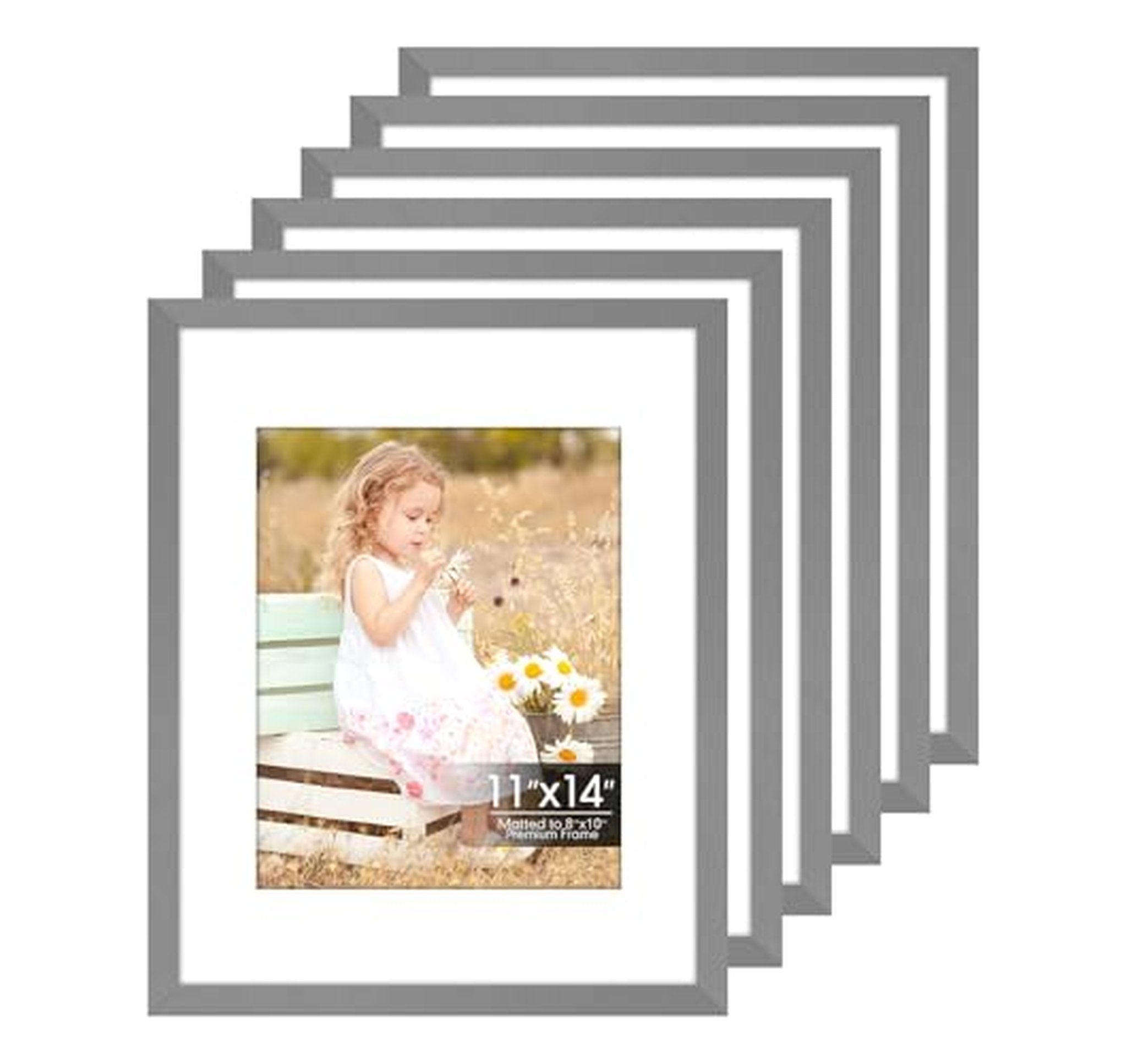 6 Pack 11x14 Picture Frames with 8x10 Mat