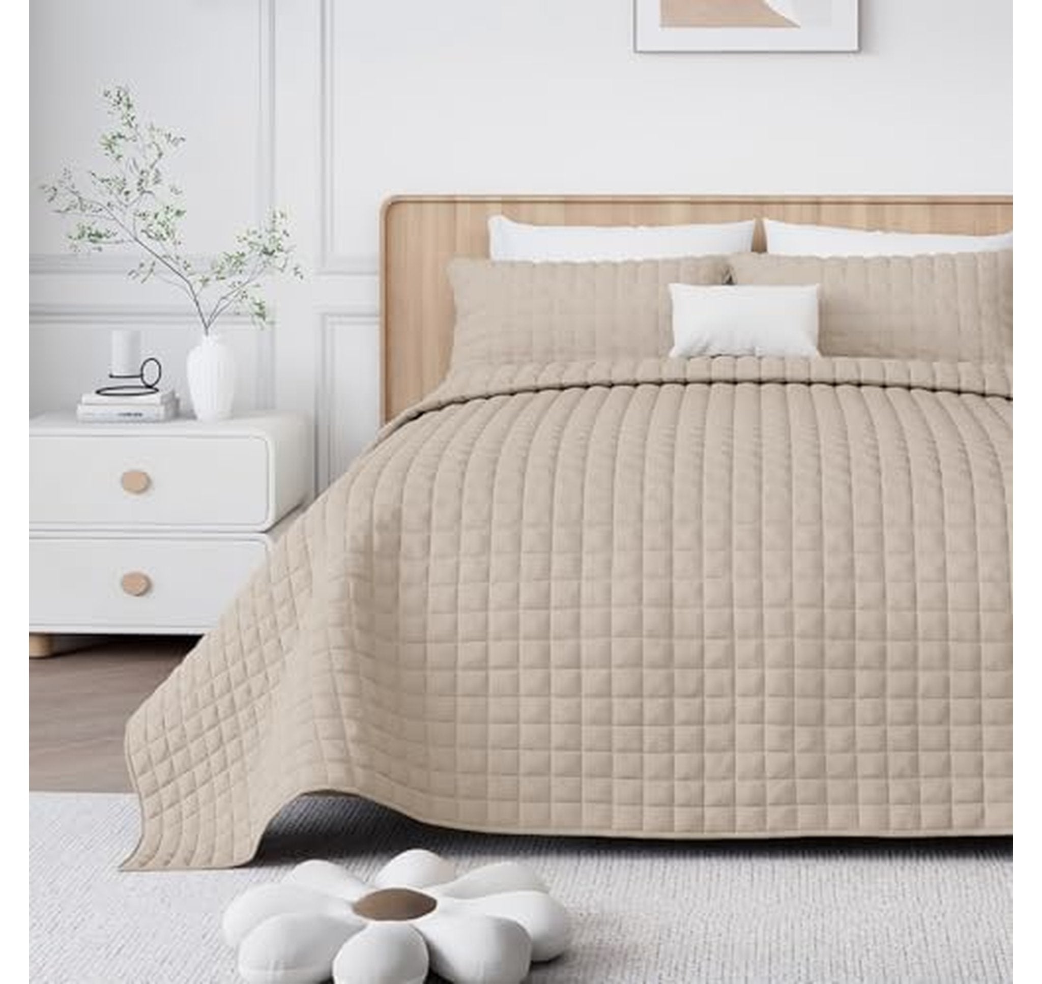 Queen Velvet Lightweight Quilt Set with Shams
