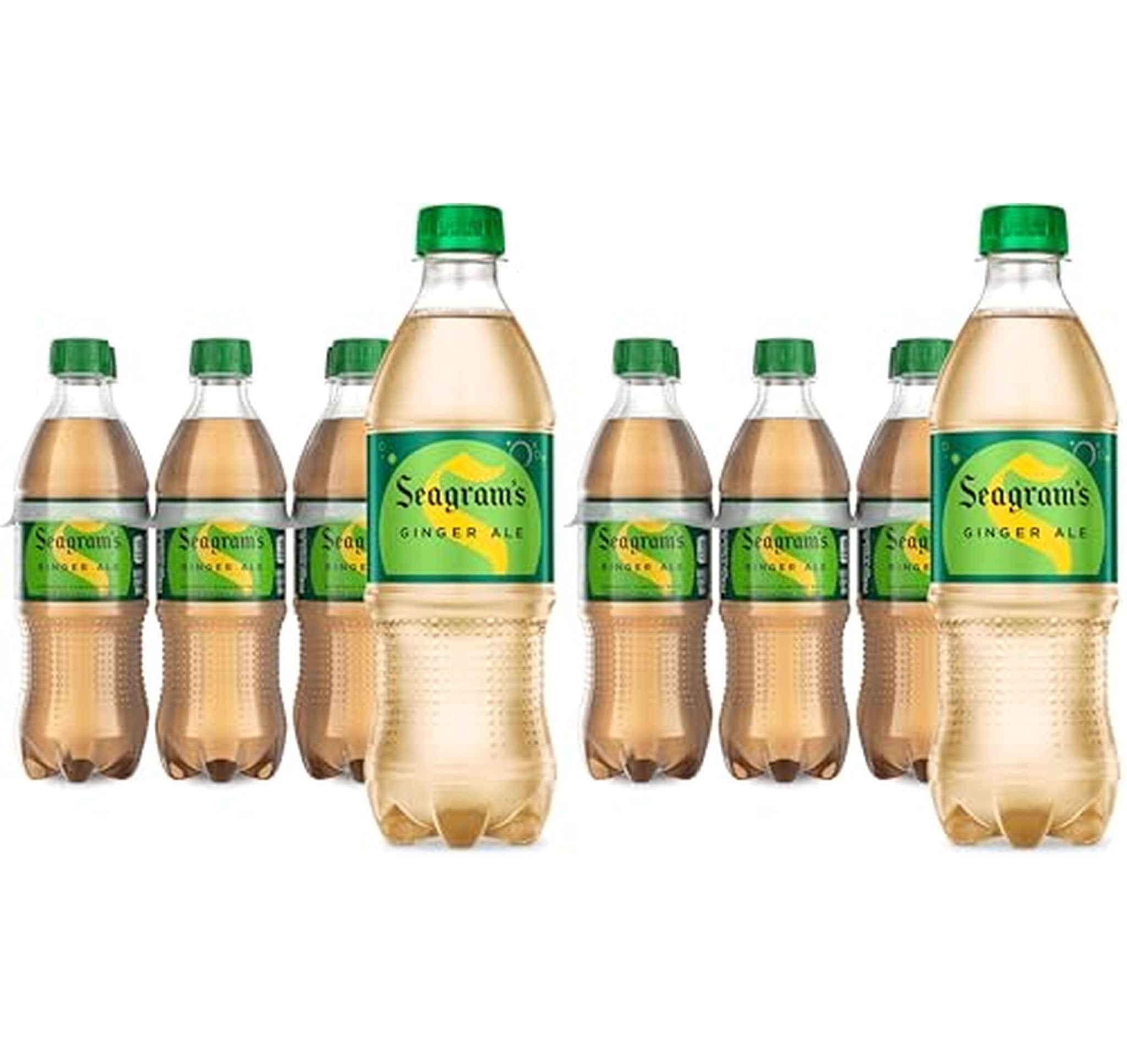 12 Pack Seagram's Ginger Ale Soda, 16.9 fl oz