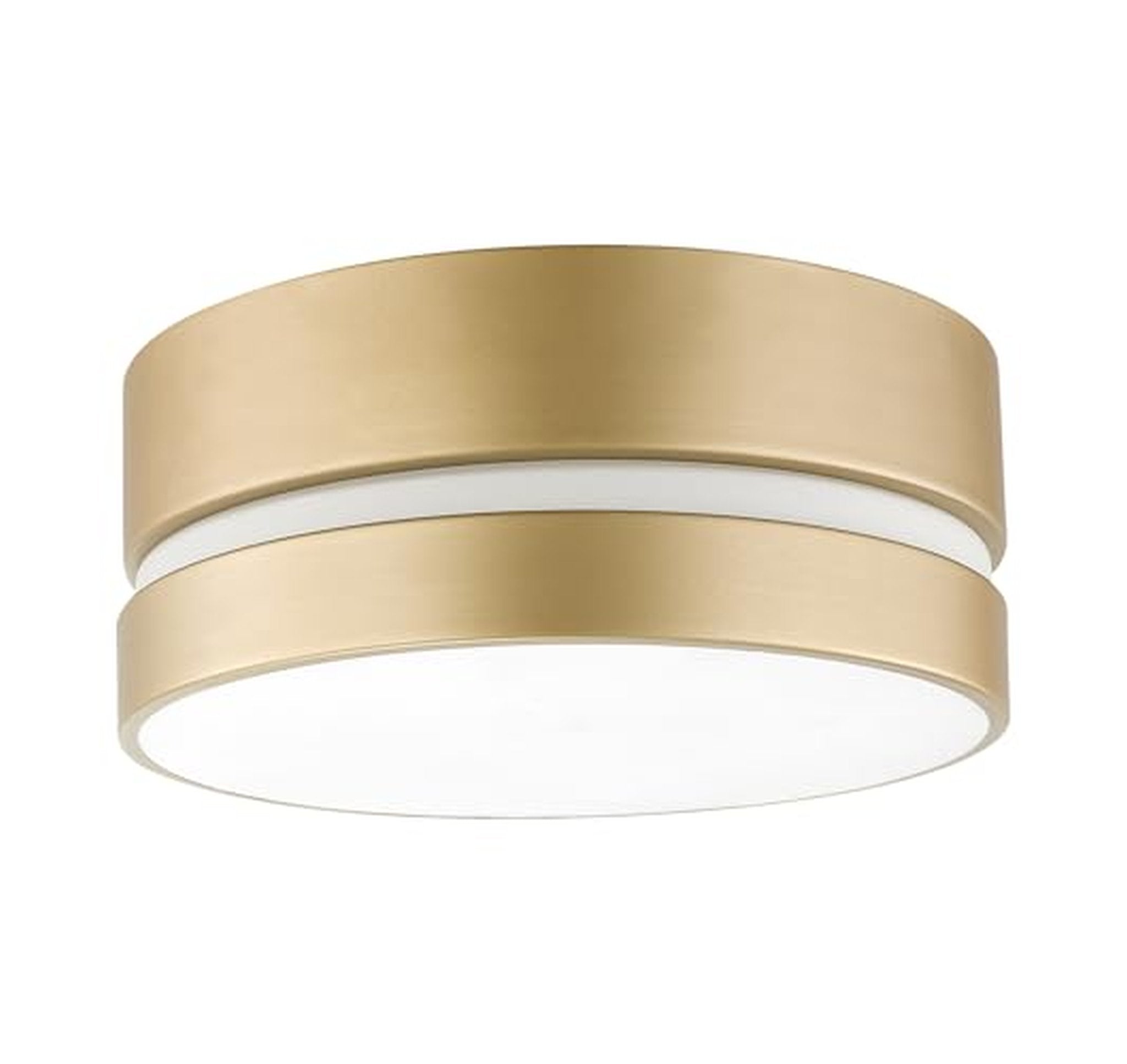 Globe Electric 2-Light Flush Mount Ceiling Light Fixture