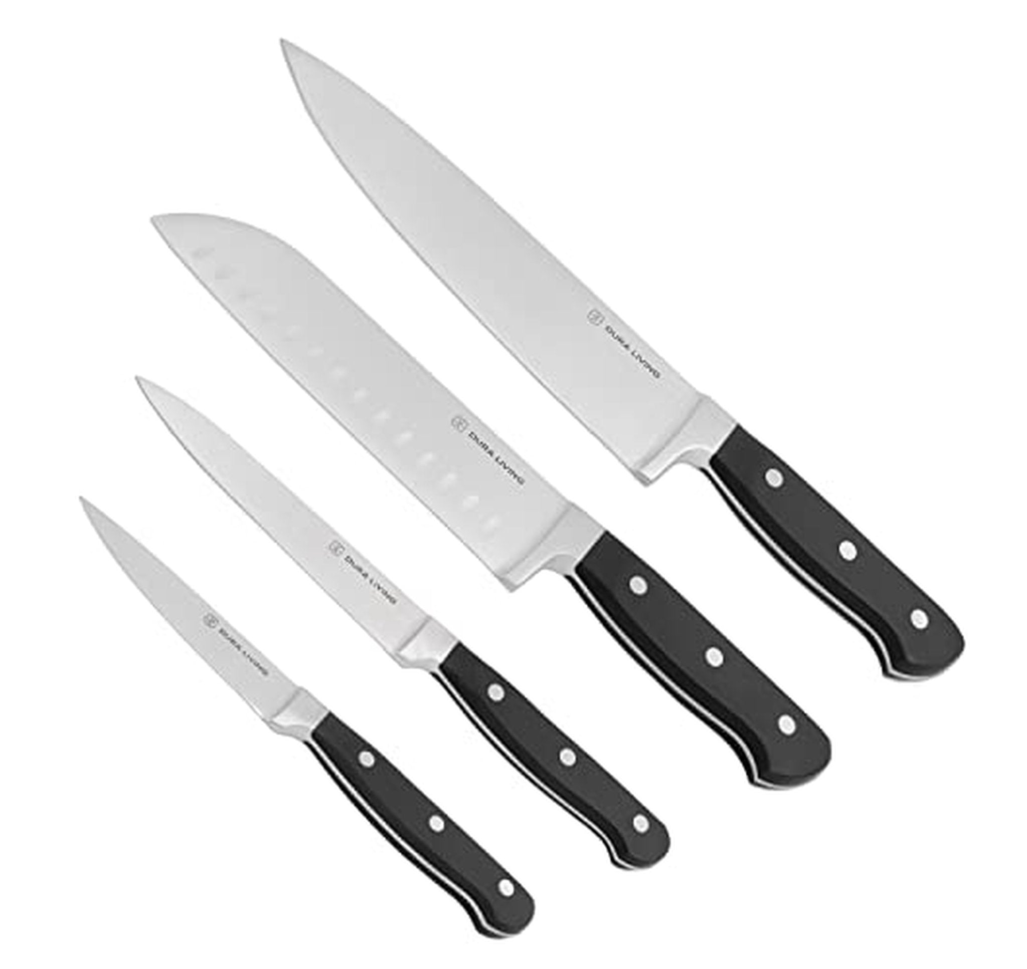 4 Piece High Carbon Stainless Steel Chef Knife Set