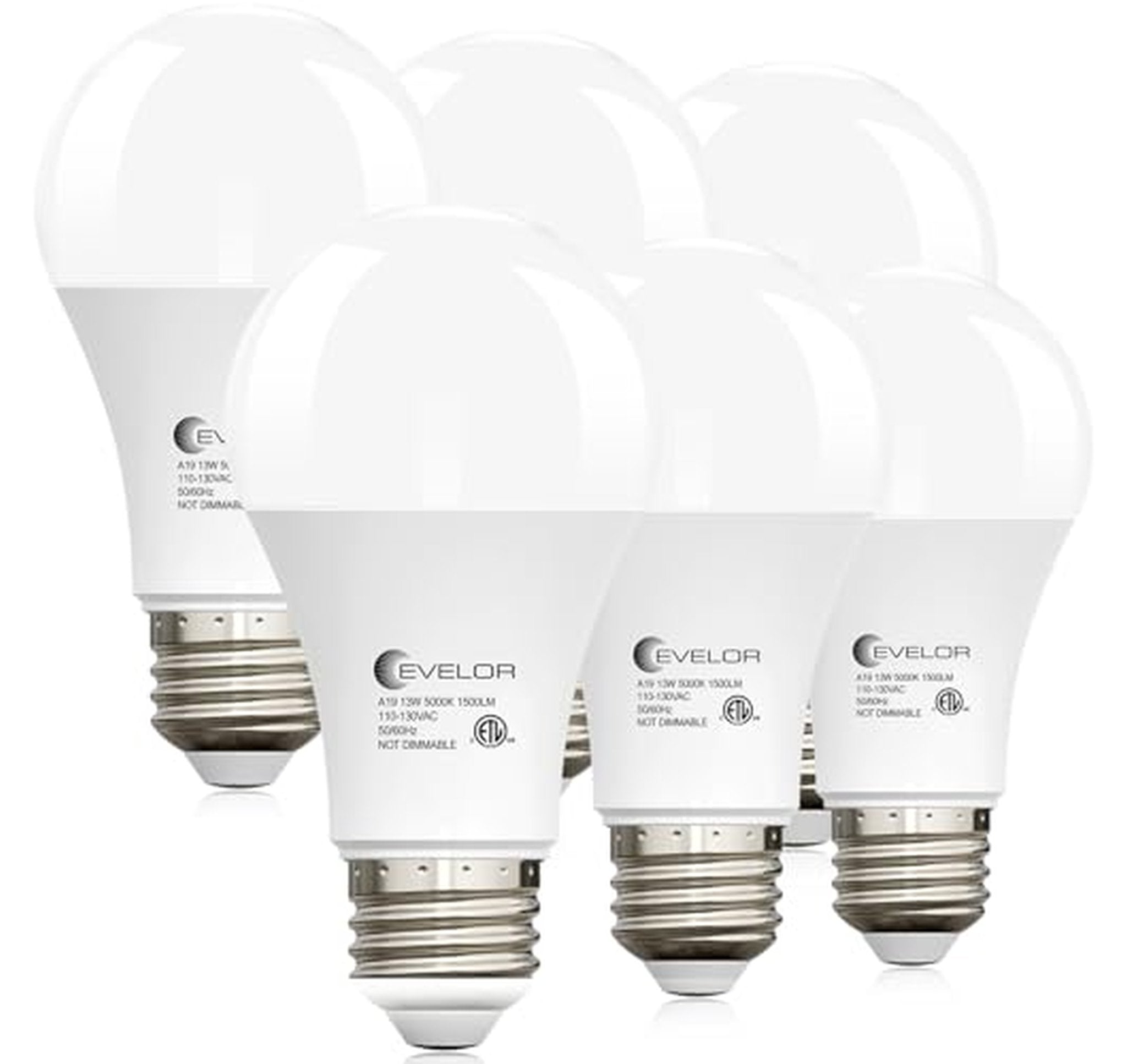 6 Pack 100W Equivalent A19 LED Light Bulbs