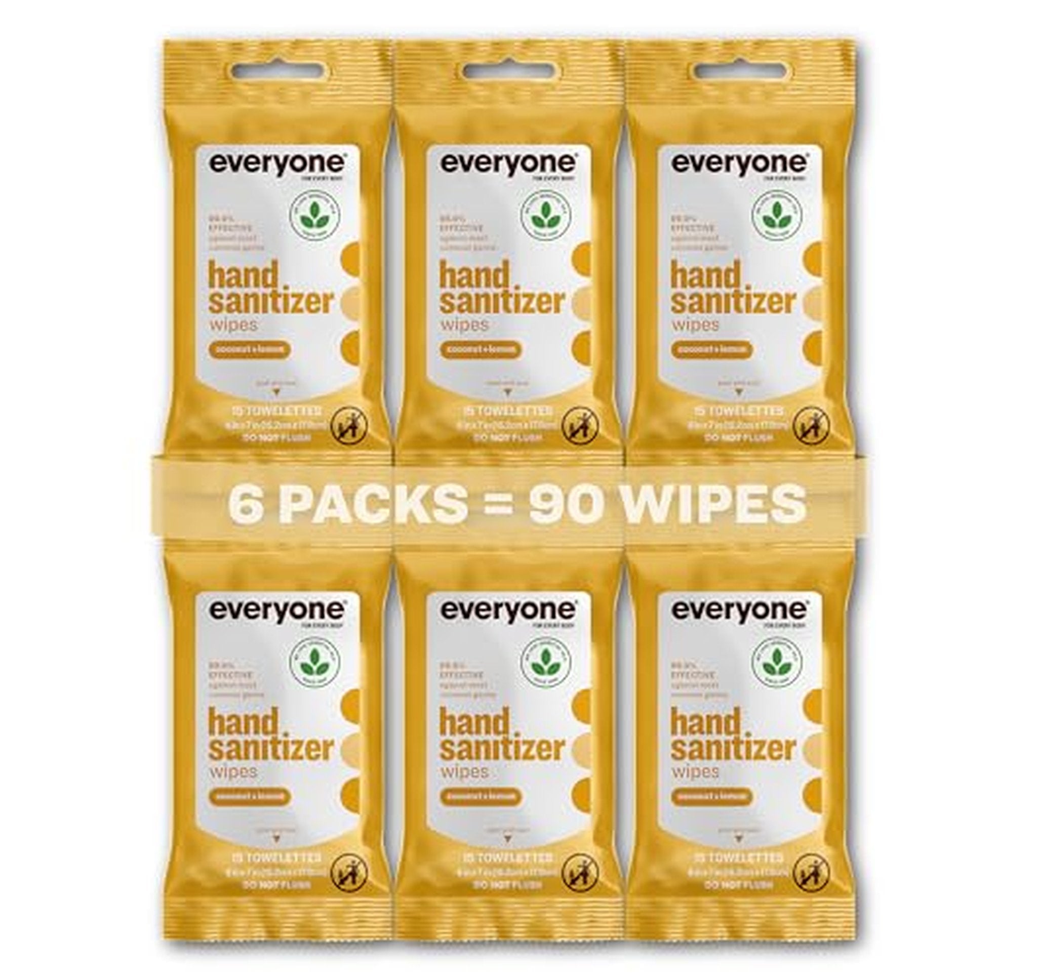 6 Pack Hand Sanitizer Wipes, 15 Count Each