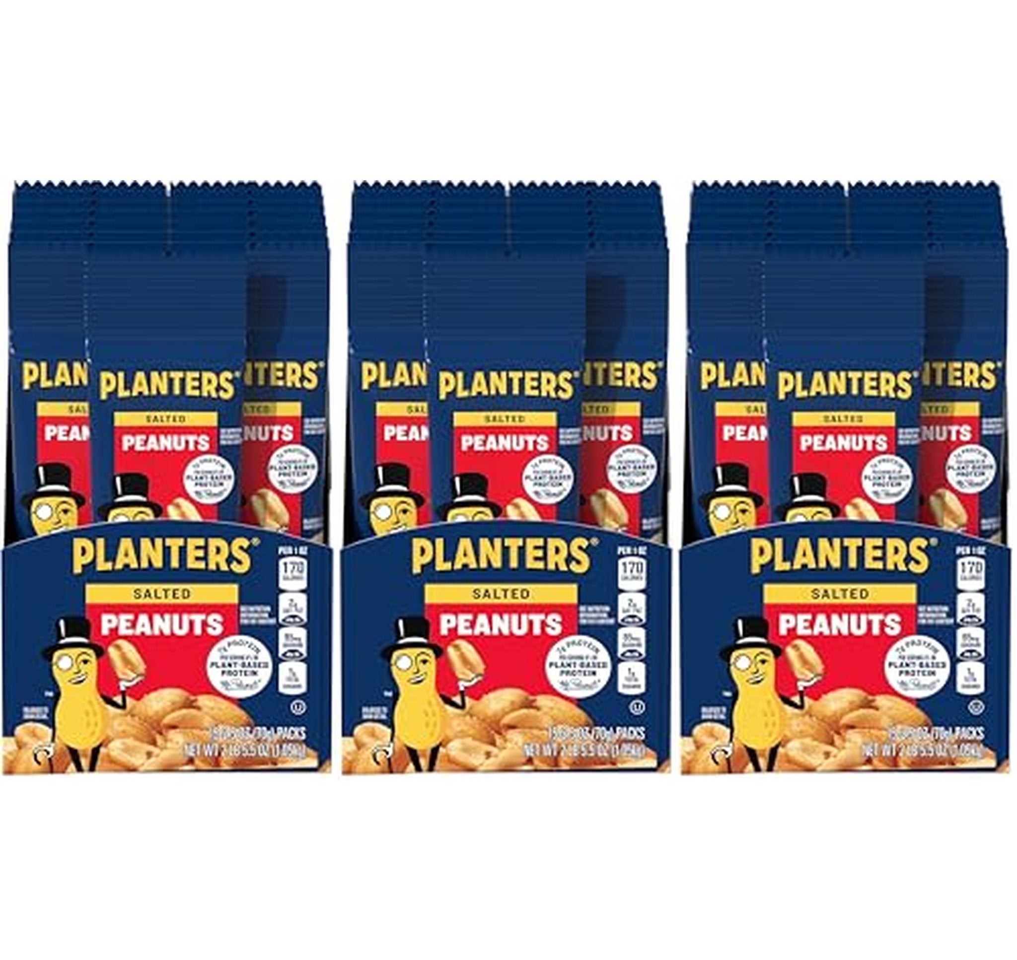 45 Pack PLANTERS Salted Peanuts Snack Packs
