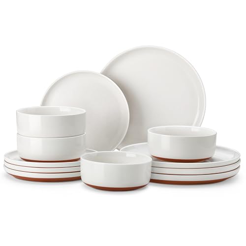 12 Piece Stoneware Dinnerware Set Plates and Bowls