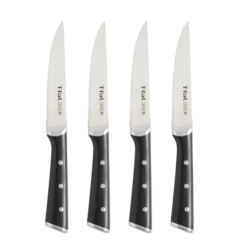 4 Piece Tefal Ice Force Steak Knife Set Stainless Steel