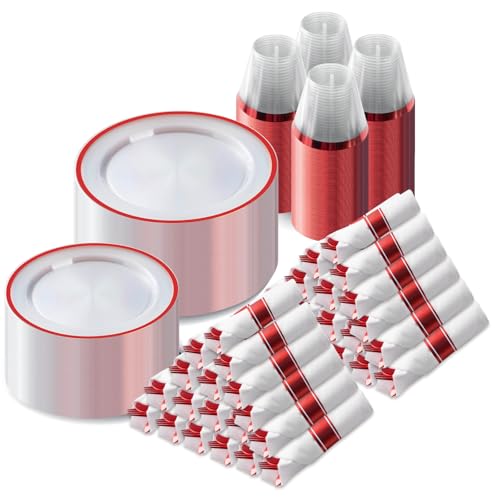 700 Piece Disposable Dinnerware Set for 100 Guests