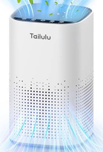 HEPA Air Purifier for Home Large Room, Quiet Mode