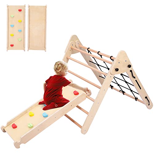 2 in 1 Kids Climbing Gym Set with Slide