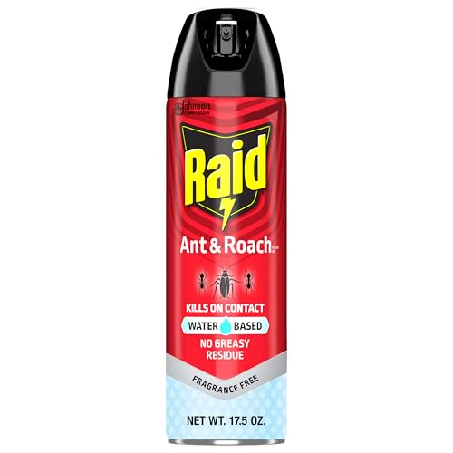 Raid Ant & Roach Killer Aerosol Spray, 17.5 oz