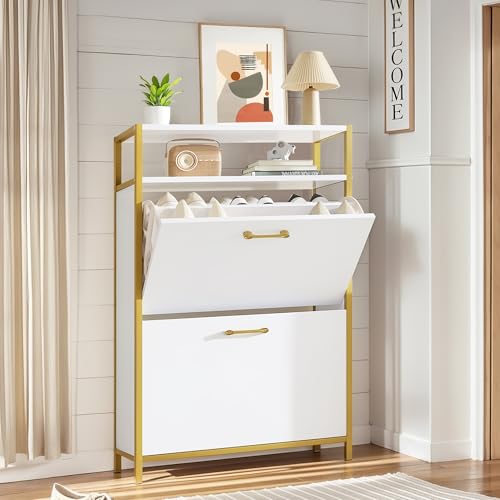Shoe Storage Cabinet with 2 Flip Drawers Organizer