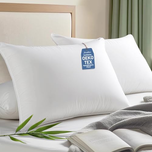 2 Pack Hypoallergenic Bamboo Viscose Queen Pillows