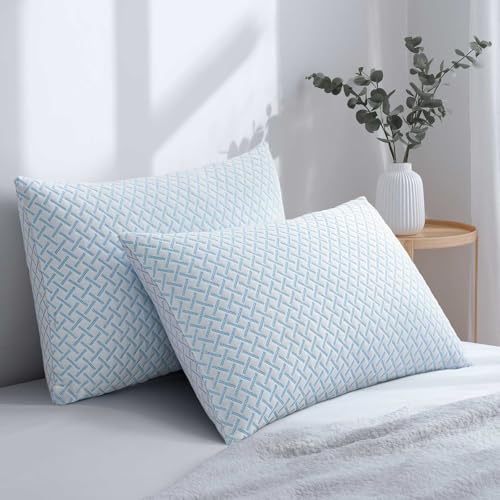 2 Pack Shredded Memory Foam Cooling Queen Pillows
