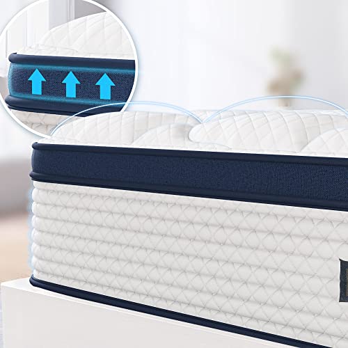 Queen 10 Inch Hybrid Mattress Memory Foam Innerspring