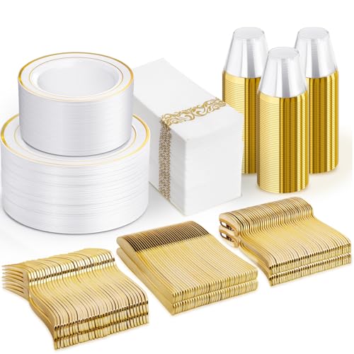 700 Piece Disposable Dinnerware Set