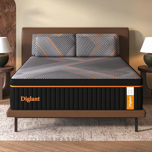 14 Inch Plush Hybrid Queen Mattress Memory Foam