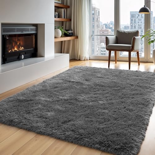Fluffy Shag Area Rug 4x6 for Living Room