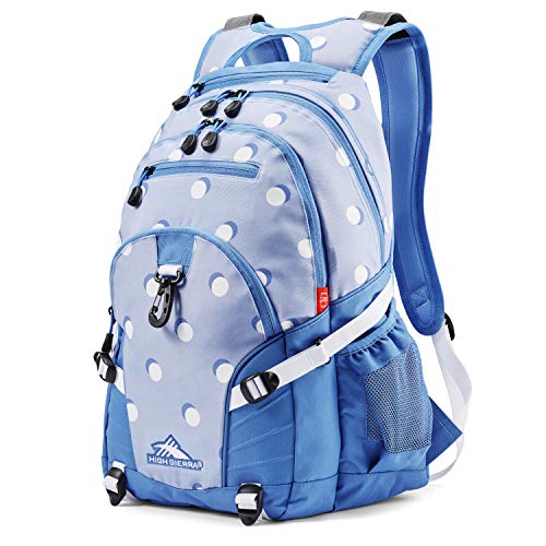 High Sierra Backpack with Tablet Sleeve for Travel Work