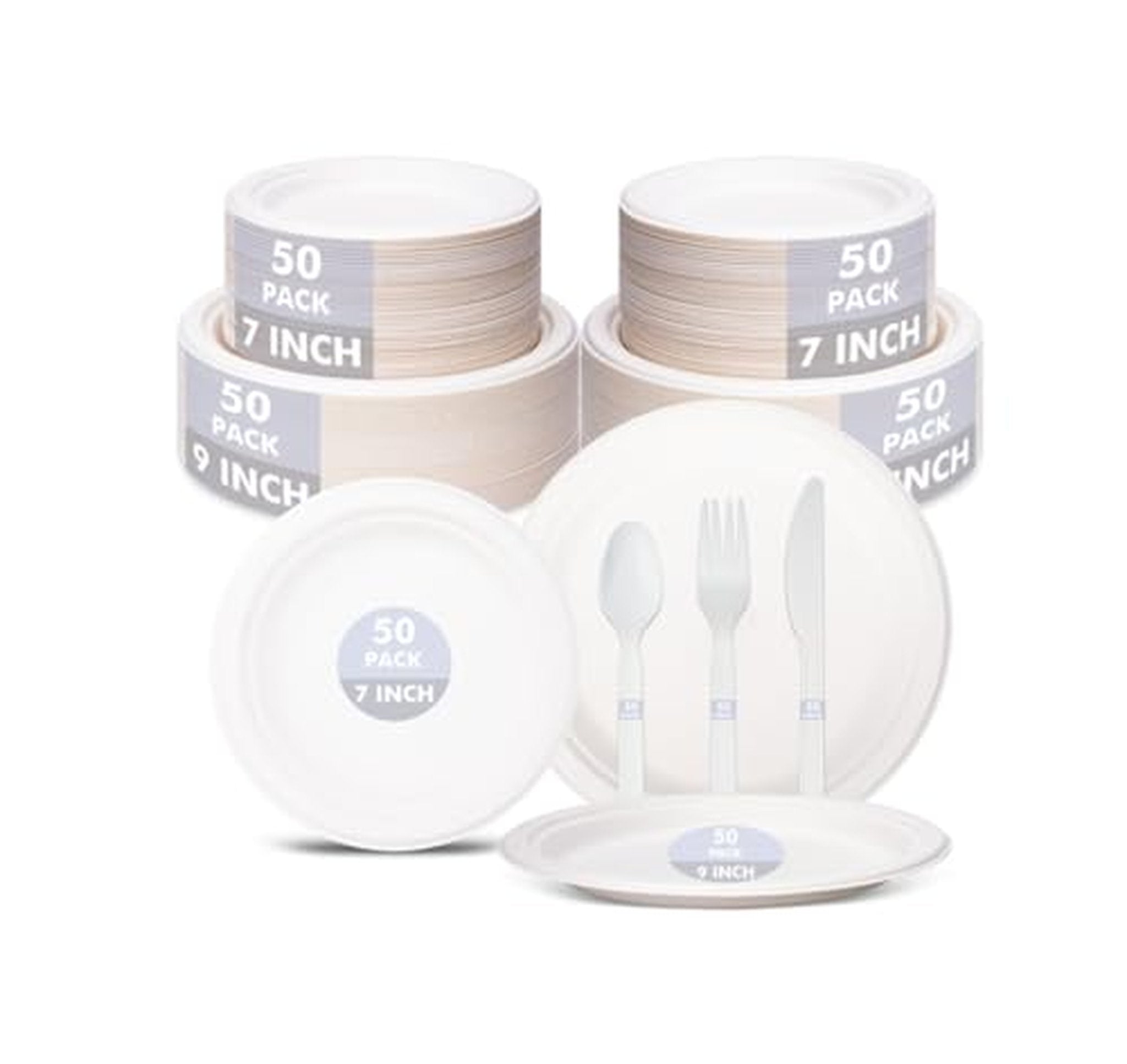 250 Count Compostable Plates and Cutlery Set