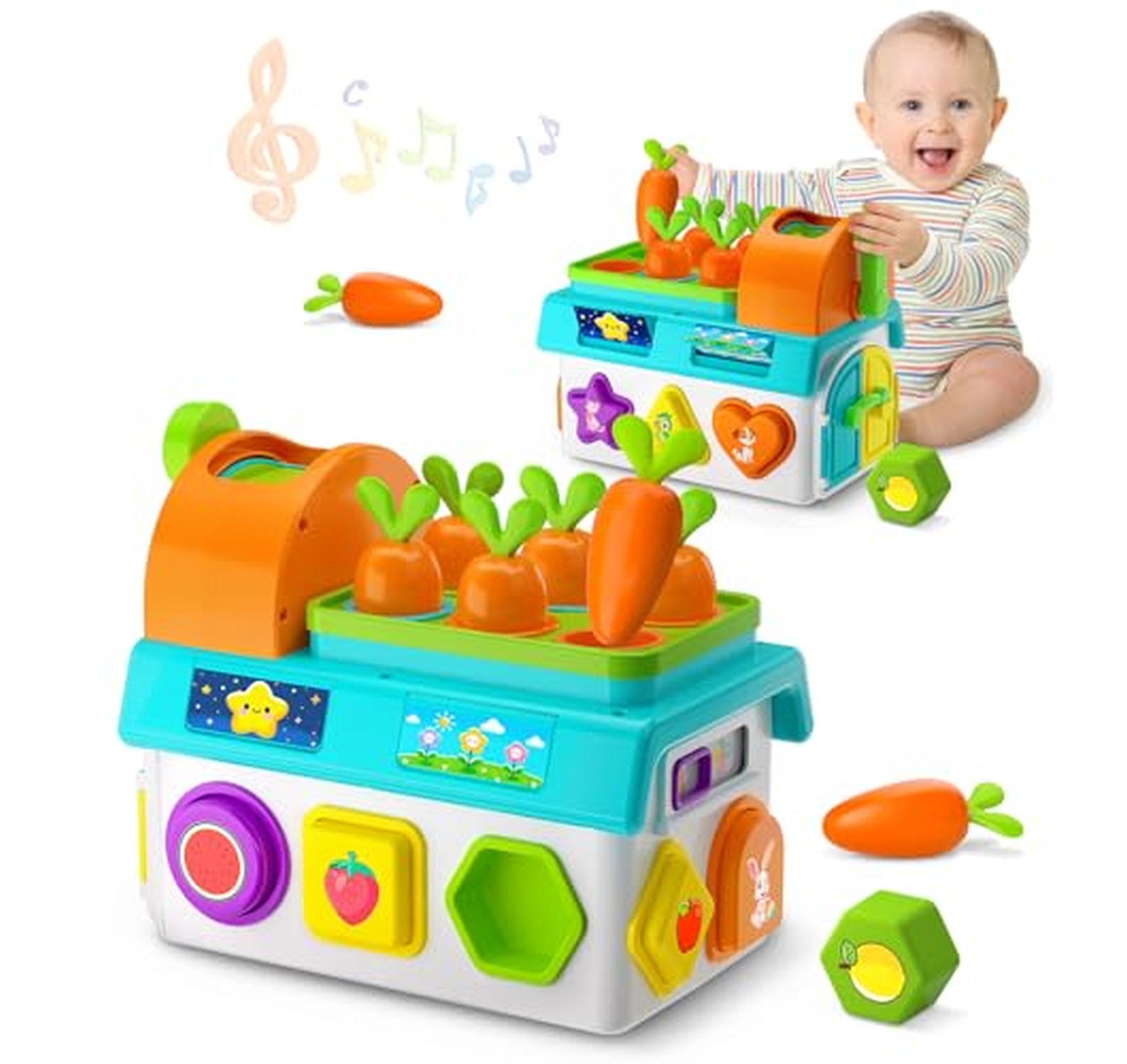 Musical Montessori Sorting Toy for Toddlers
