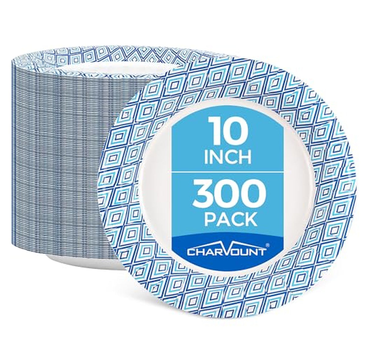 300 Count 10-Inch Disposable Paper Plates
