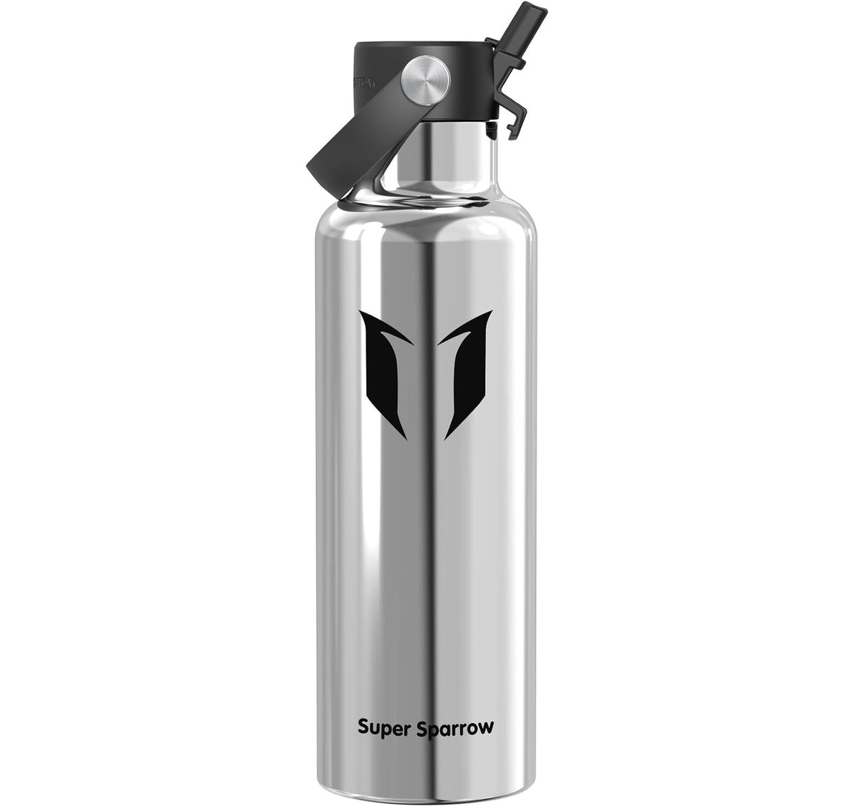 25 oz Insulated Stainless Steel Water Bottle with Straw