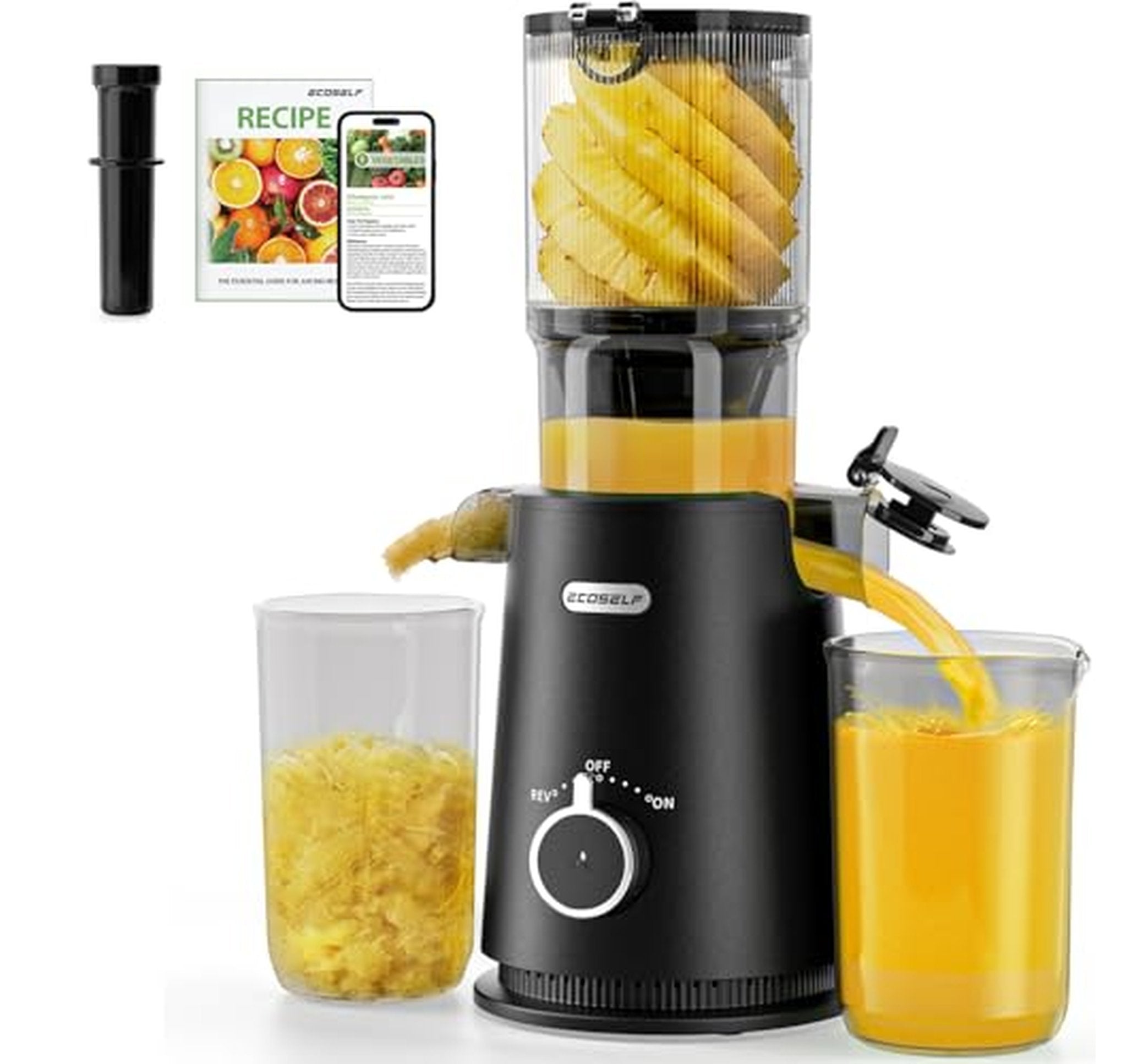 Cold Press Slow Masticating Juicer with Large Feed Chute