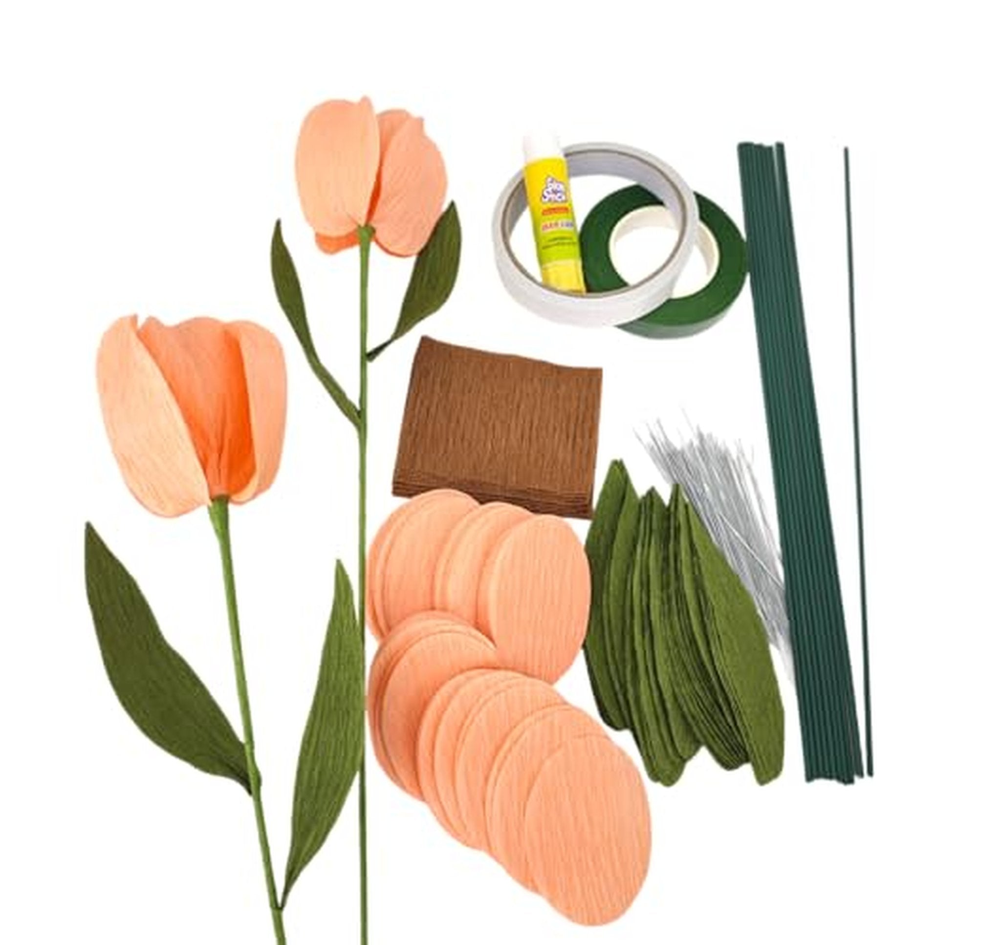 12 Pack Crepe Paper Tulip DIY Flower Making Kit