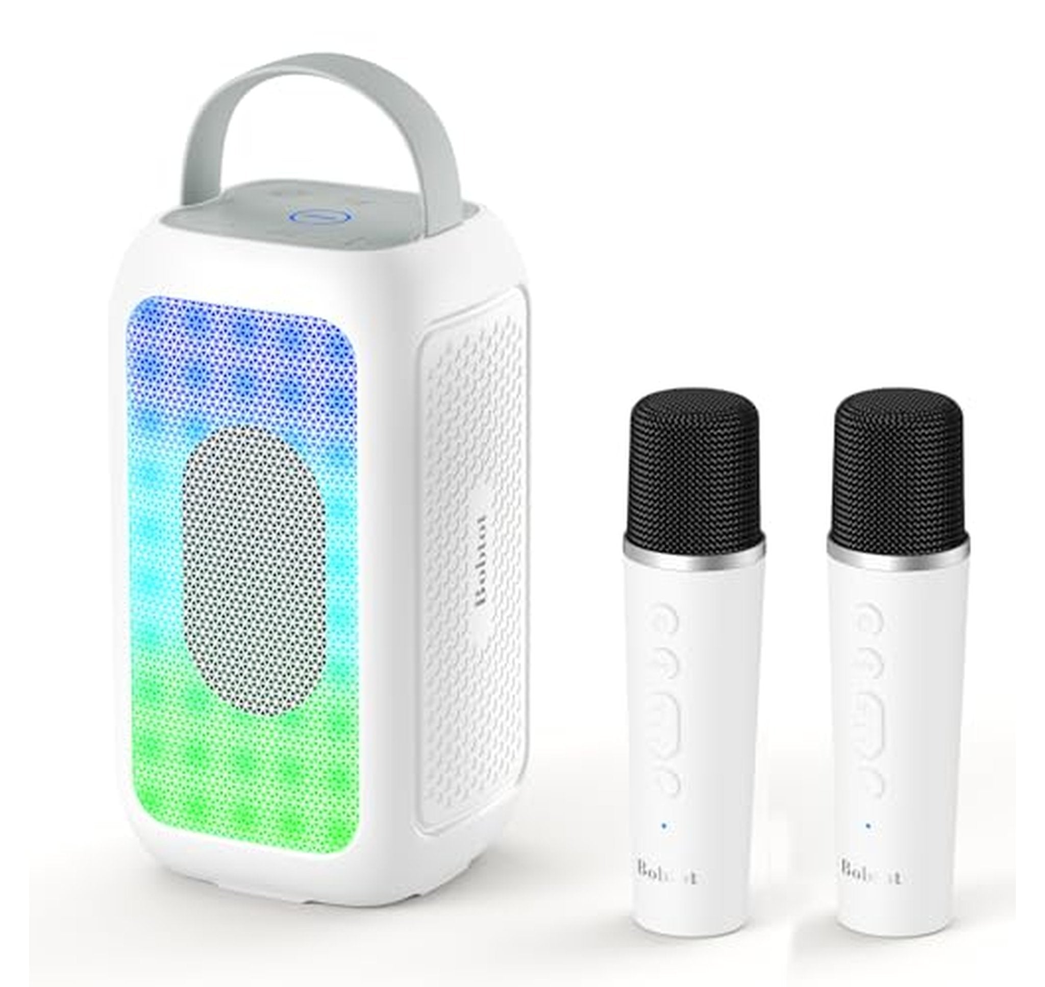Portable Bluetooth Speaker with 2 Wireless Microphones