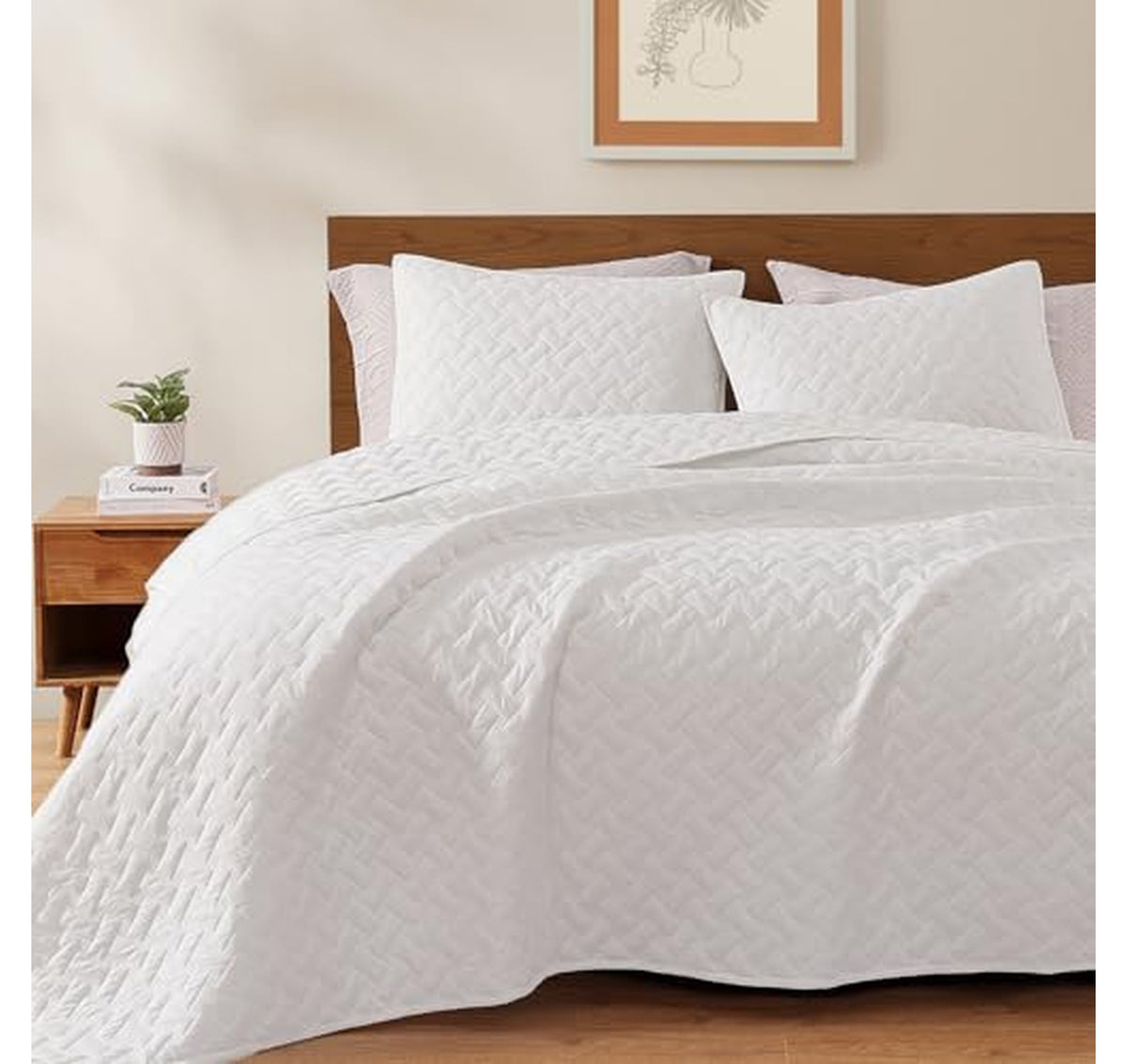 Queen Lightweight Quilt Bedding Set with Shams