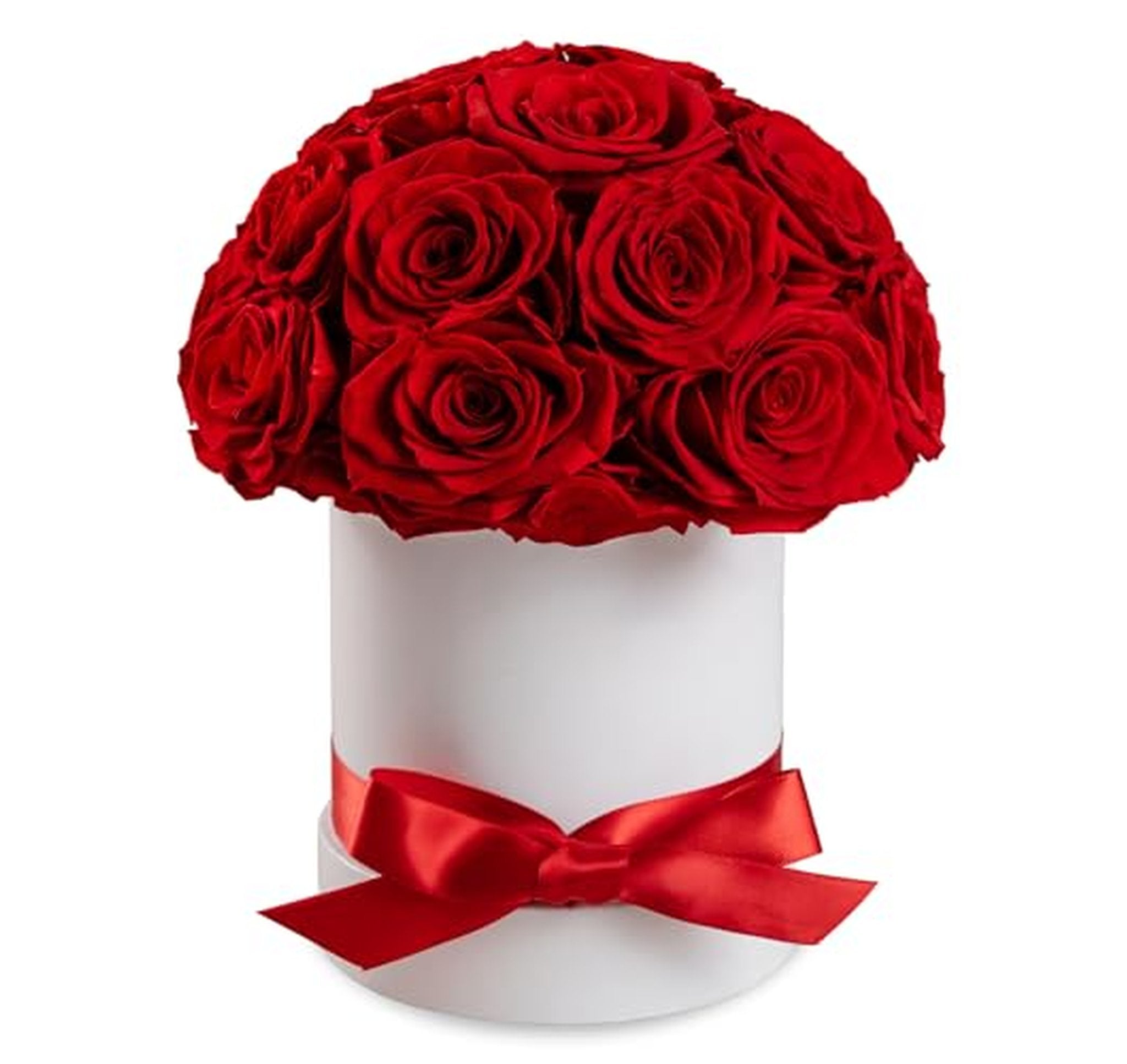 18 Count Preserved Rose Dome Gift Box