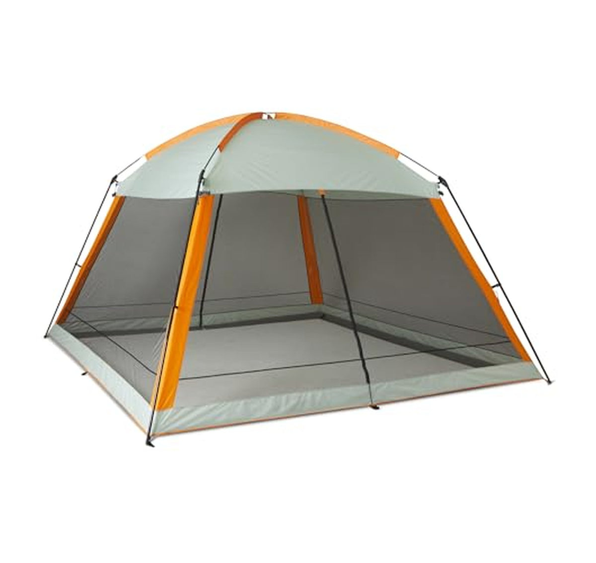 Amazon Basics 12x12 Screened Canopy Tent
