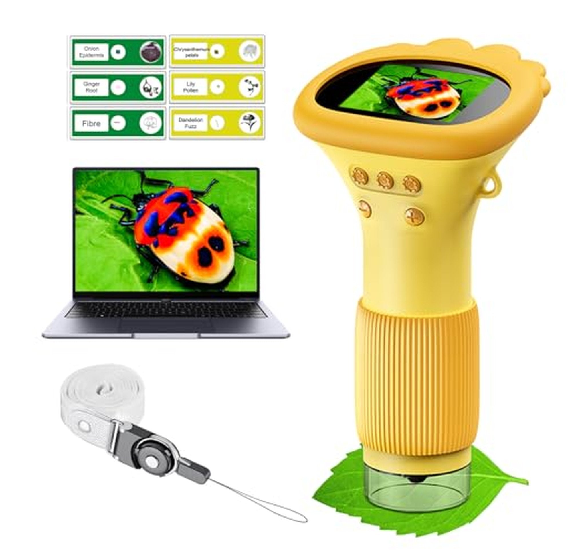 1000X Digital Pocket Microscope for Kids