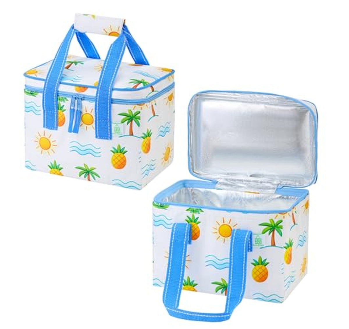 2 Pack Insulated Reusable Lunch Tote Bags
