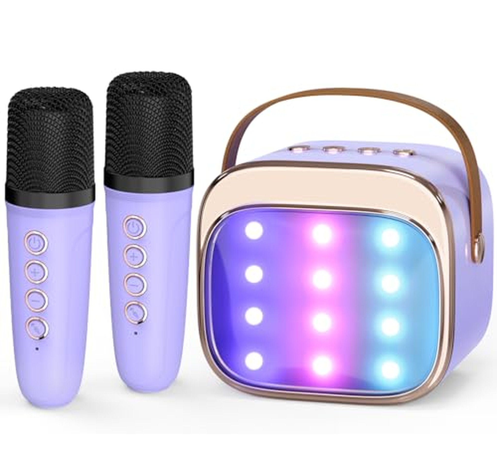 Portable Bluetooth Karaoke Machine with 2 Wireless Microphones