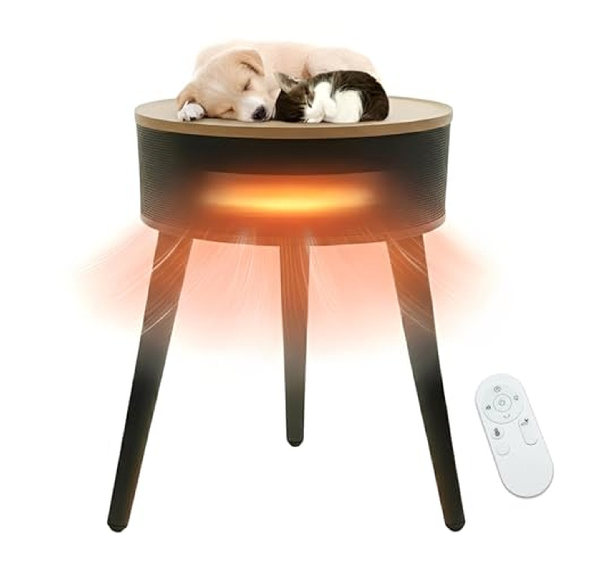 1500W PTC Ceramic Indoor Space Heater with Remote