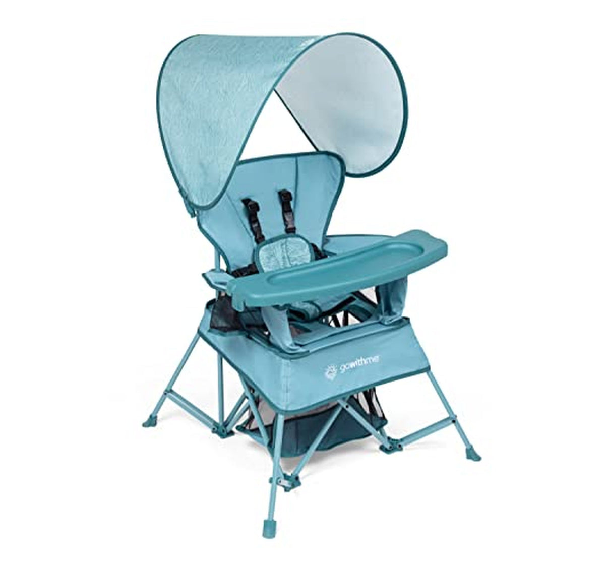 Baby Delight Portable 3-Stage Baby Camping Chair